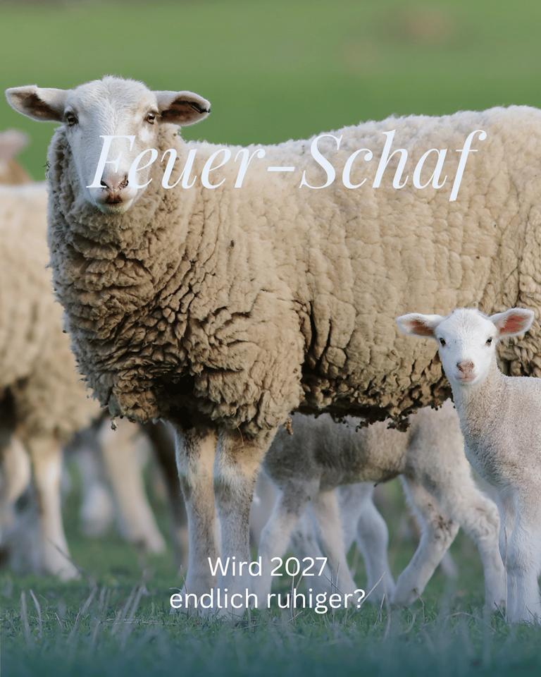 Ein erster Blick auf 2027, dem Jahr des Feuer-Schafs